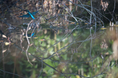 ラストチャンス