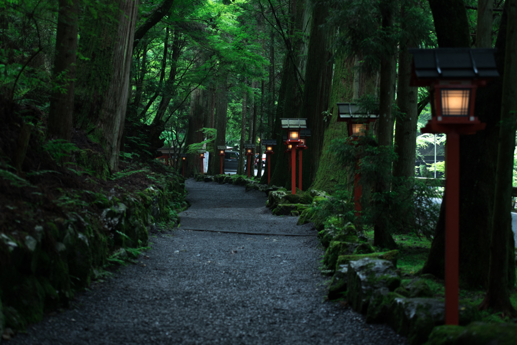 貴船　奥への参道