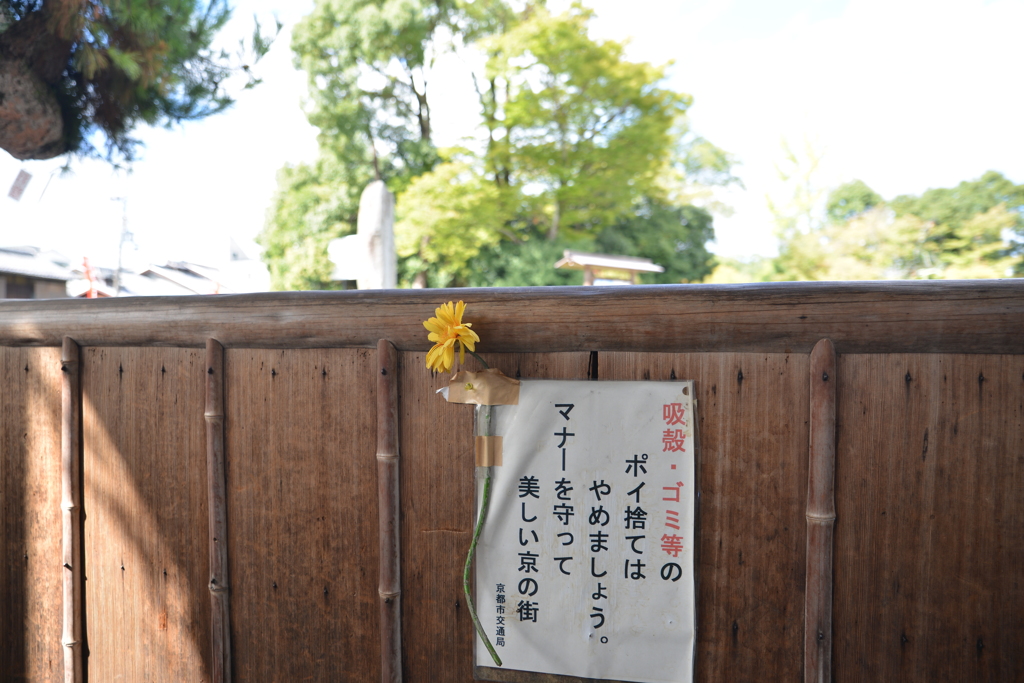 ポイ捨てはやめましょう