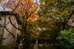 お寺の庭の入り口で