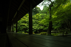 寺庭02