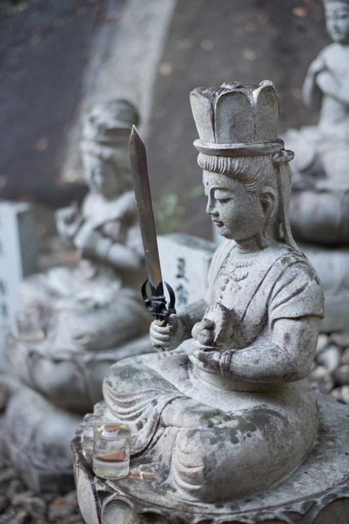 ありがたい写真