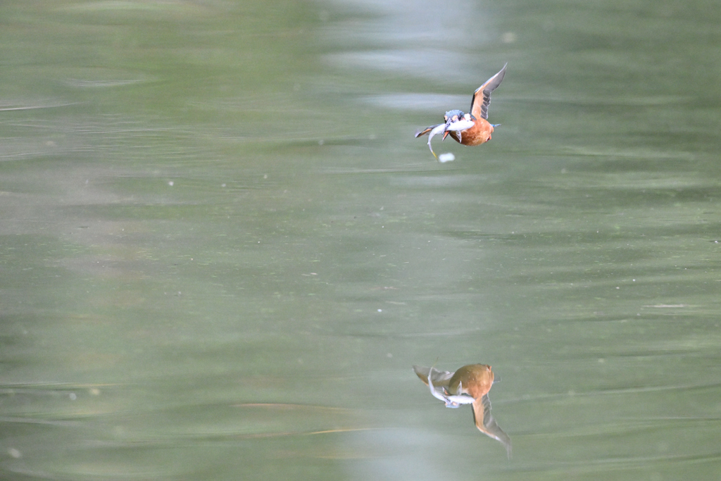 無題001DSC_7922_021