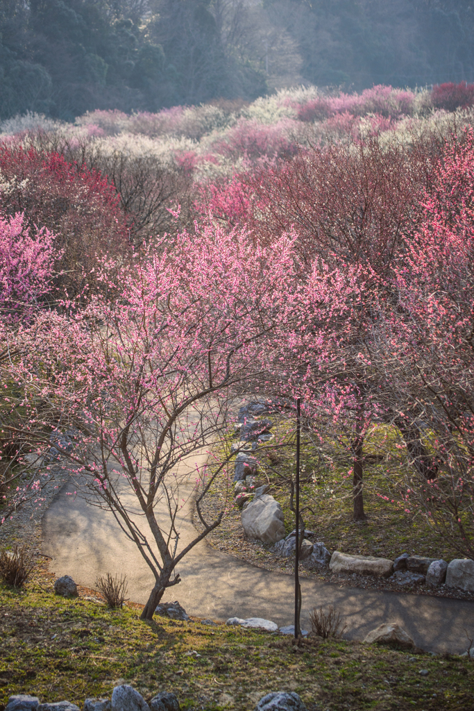 暖かい陽気でした