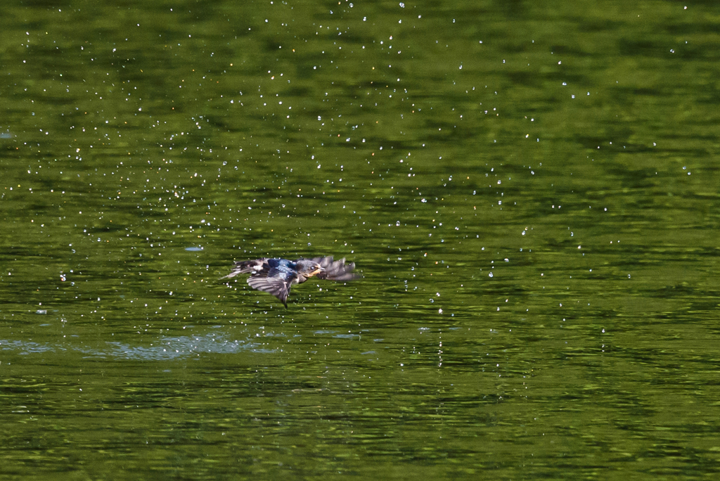 水しぶき上げて