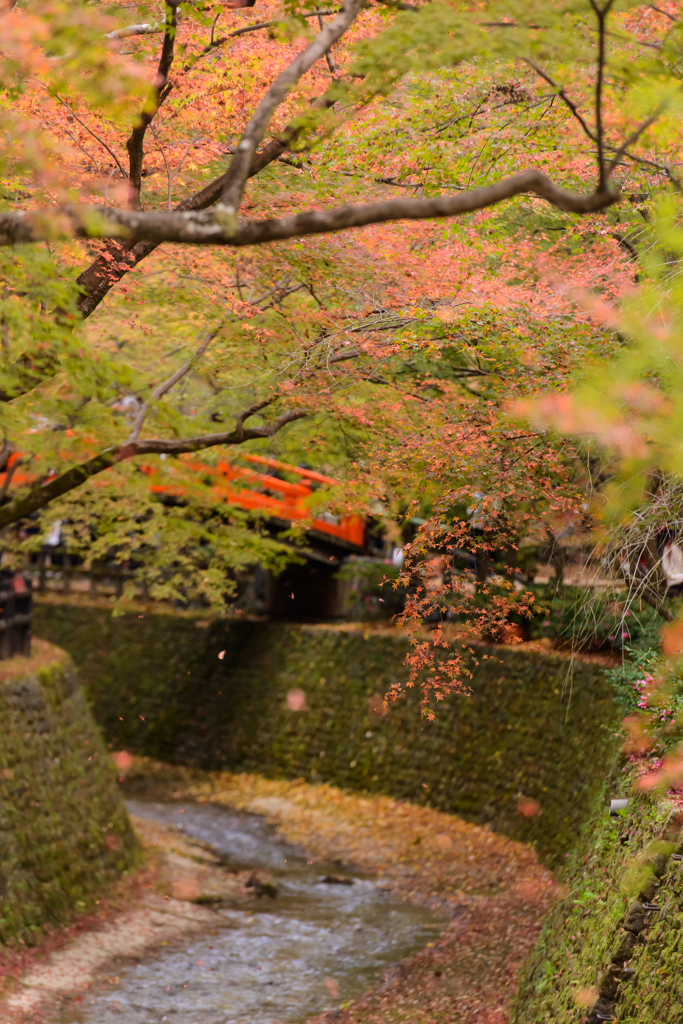 北野天満宮より