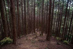 京都一周トレイル北山⑧