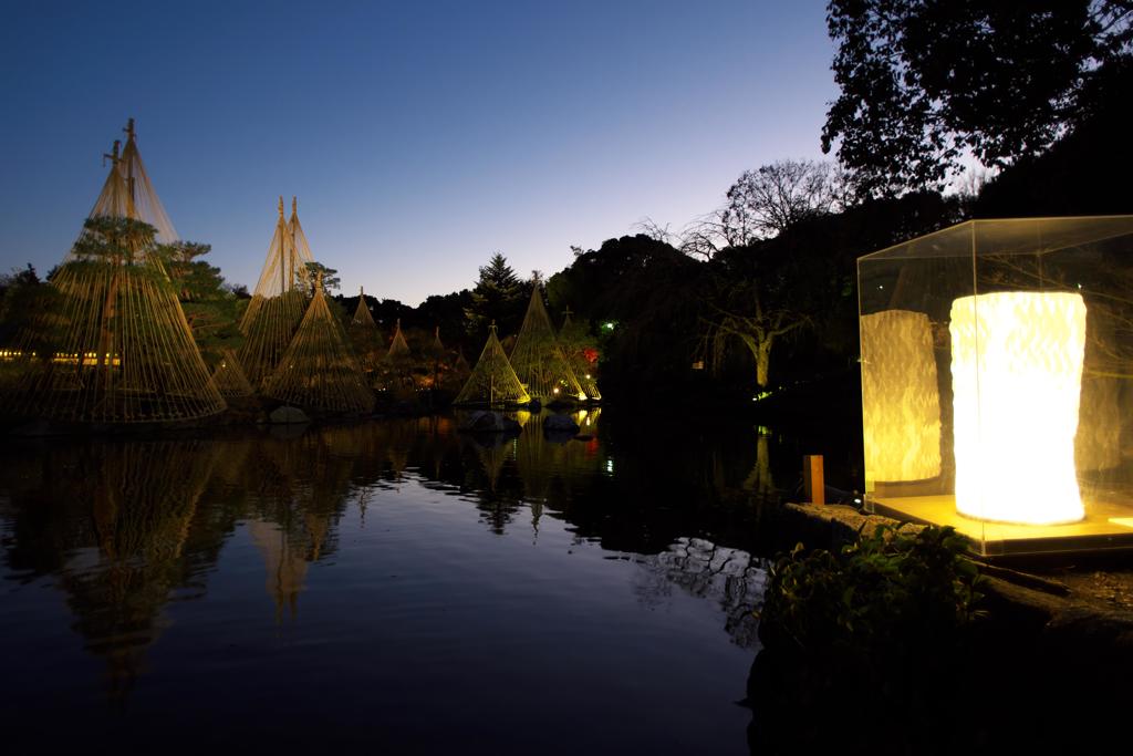 白鳥庭園雪吊り