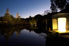 白鳥庭園雪吊り