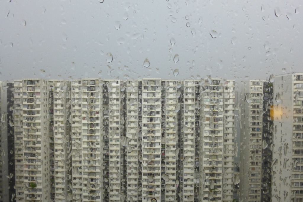 雨なので。。。