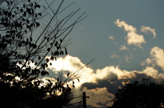 秋・夕方・雨上がり