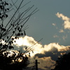 秋・夕方・雨上がり