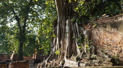 Thai ayutthaya