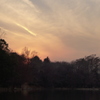 夕暮れの石神井公園