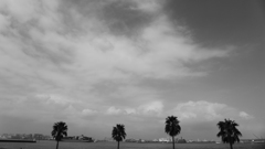 羽田（城南島海浜公園）