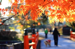 宇治川にて