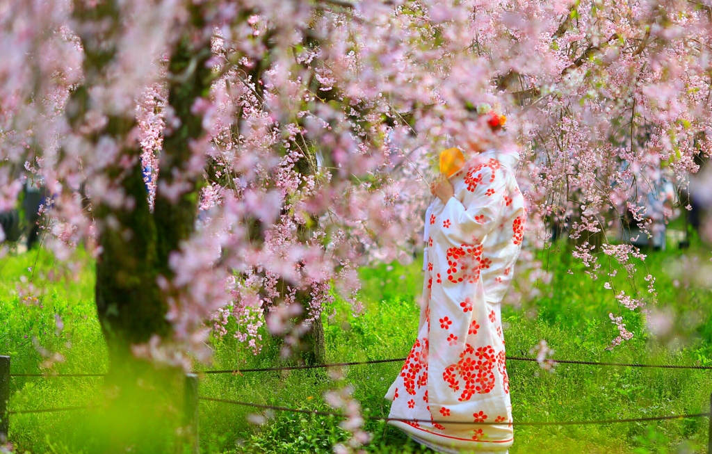 花嫁さん