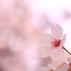 希望に満ちて