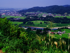 田舎