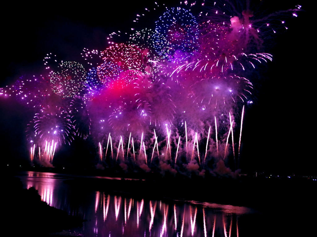 長岡花火　フェニックス