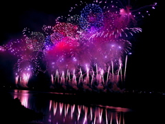 長岡花火　フェニックス