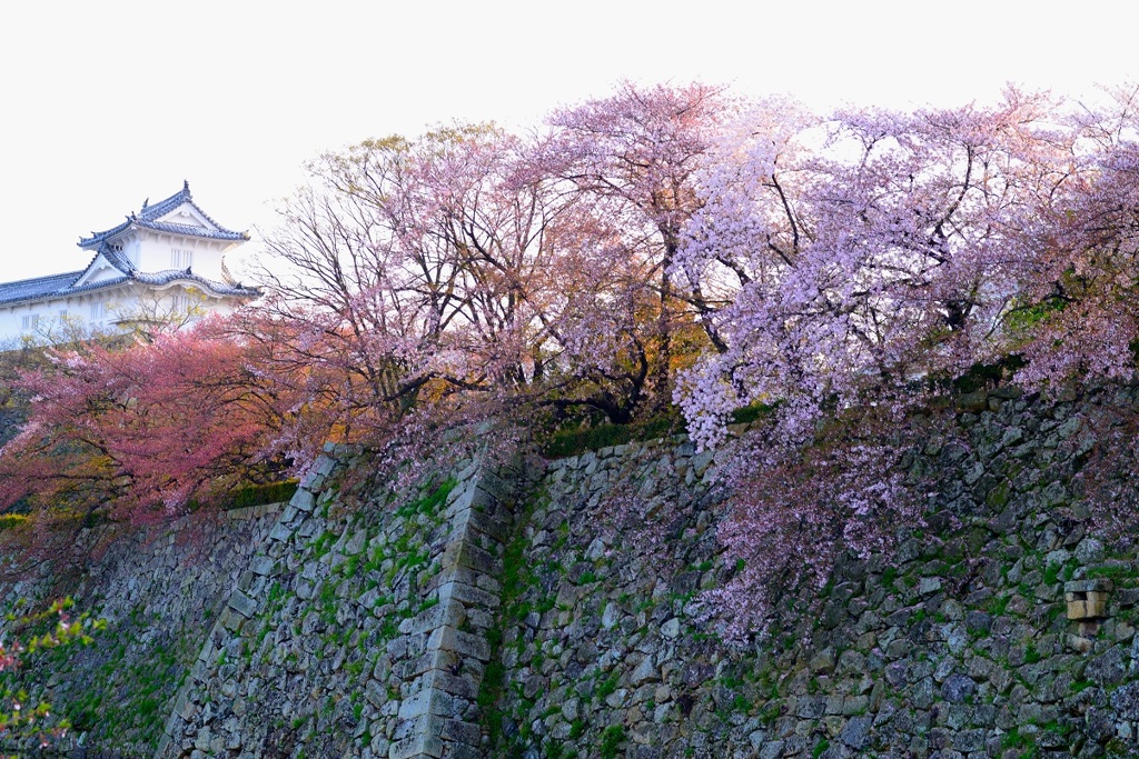 4月のお城