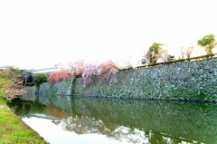 きのう-3