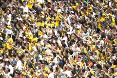 甲子園球場ライトスタンド