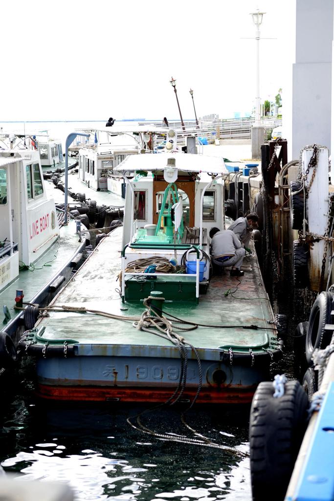 震災　カップル　作業