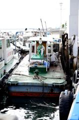 震災　カップル　作業