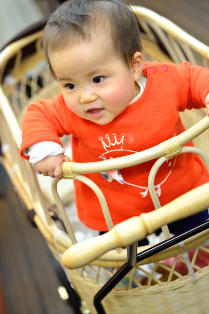 「姫」8ヶ月チョイ、立たれました