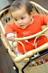 「姫」8ヶ月チョイ、立たれました