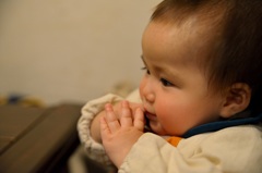 まだ、食べれない・・・・　でも、美味しそう・・・・