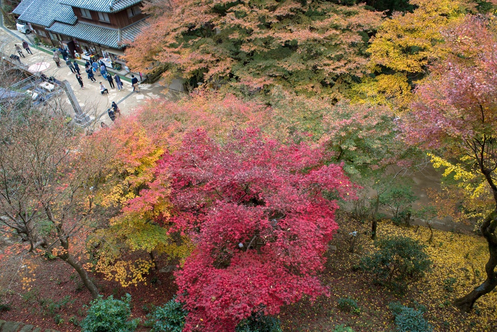 書写山円教寺-2