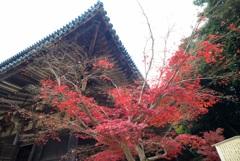 書写山円教寺-3