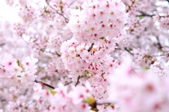 もっこもこ