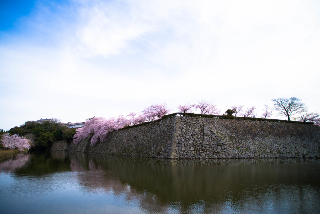 姫路城