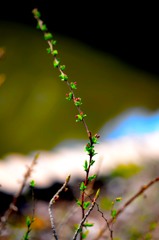 昨年「船場川」