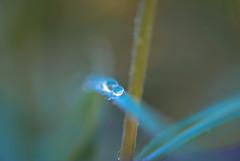 雨滴