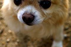 さんぽ