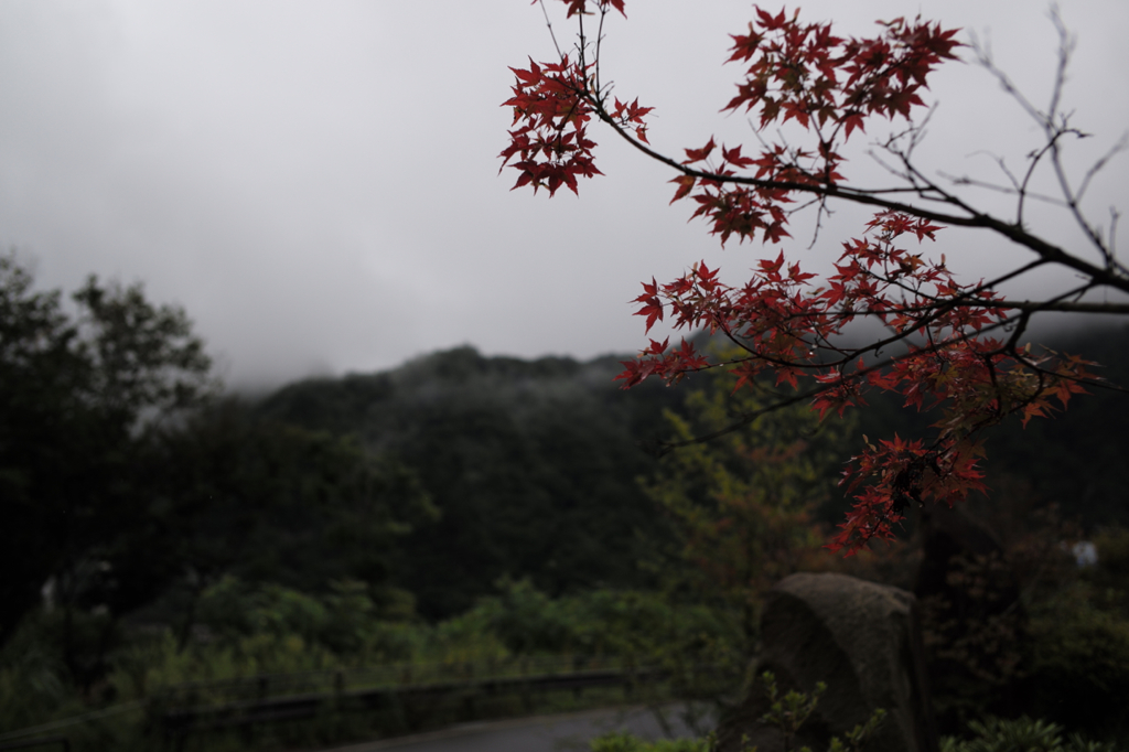 山の秋はひとあし先に