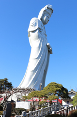 白衣観音慈悲の御手