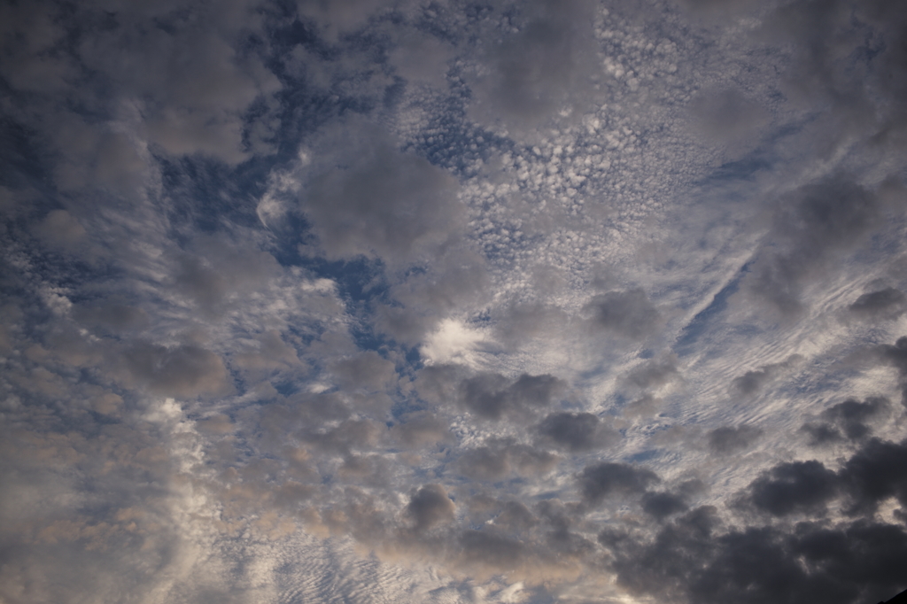 秋空　#1