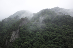 雨上がり