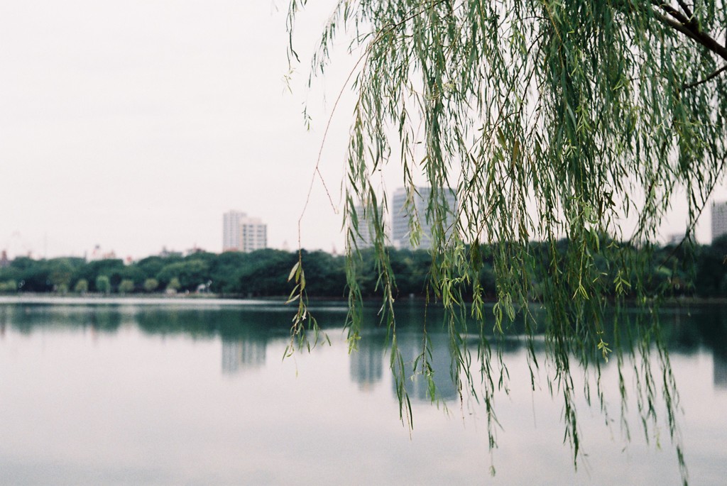 大濠公園