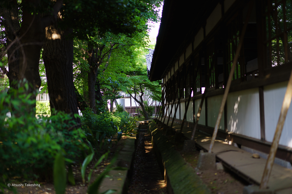 5月初夏の寺院