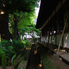 5月初夏の寺院