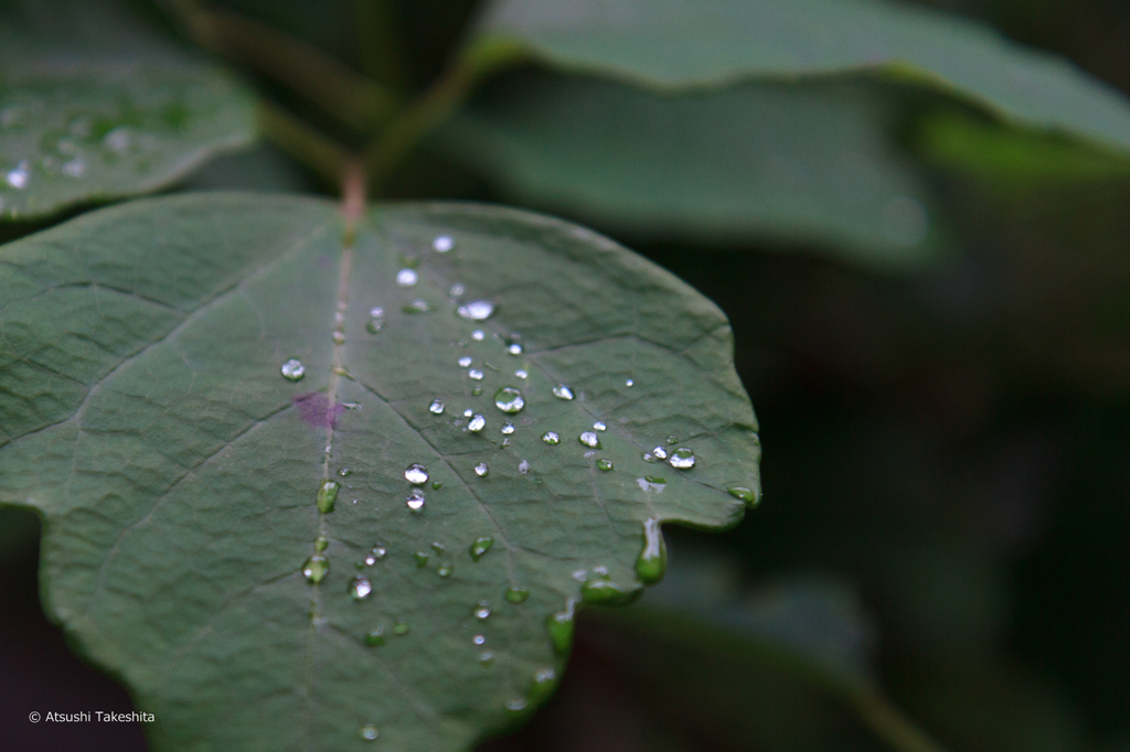 水滴