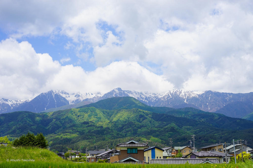 新緑、雪山、晴れた空。