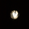 Look Down at the Moon